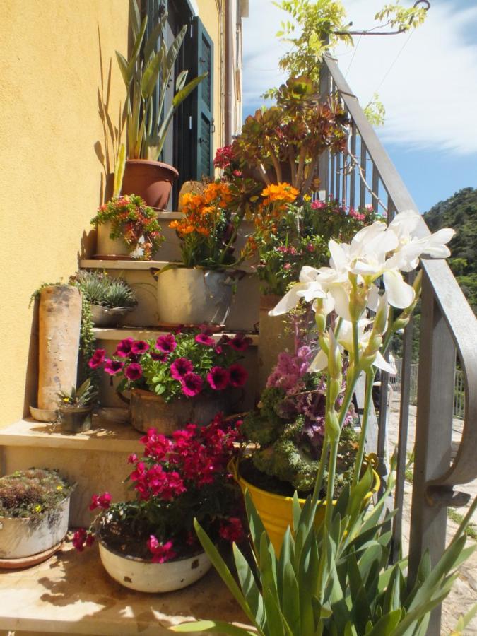 La Casa Di Sveva Διαμέρισμα Ραγκούσα Εξωτερικό φωτογραφία